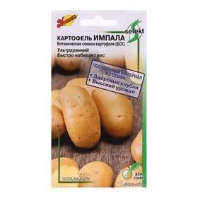 Семена Картофель «Импала», 25 шт., «Дом семян»