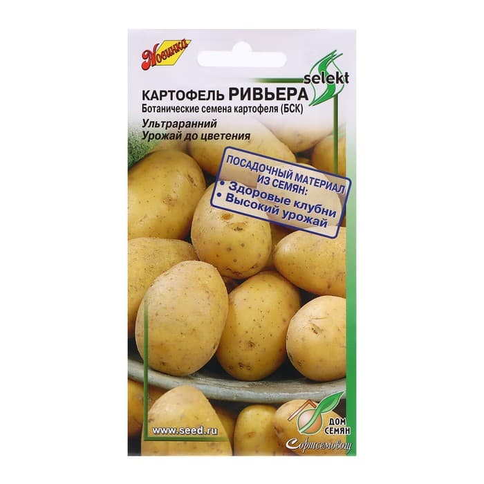Семена Картофель «Ривьера», 25 шт., «Дом семян»
