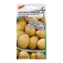 Семена Картофель «Ривьера», 25 шт., «Дом семян»
