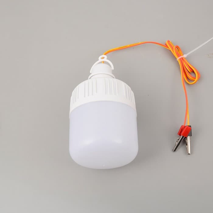 Фонарь кемпинговый, 10 Вт, SMD 2835, кабель 1-1.5 м, с зажимом от 12 В, d=7 см