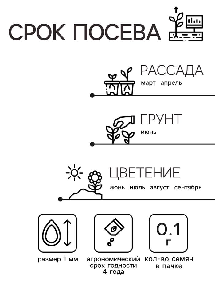 Семена Агератум «Красный букет», 0.05 г, «Семена Алтая»