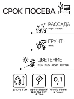 Семена Агератум «Красный букет», 0.05 г, «Семена Алтая»