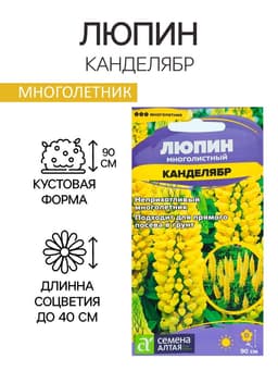 Семена цветов Люпин многолистный «Канделябр», 0.3 г, многолетник, «Семена Алтая»