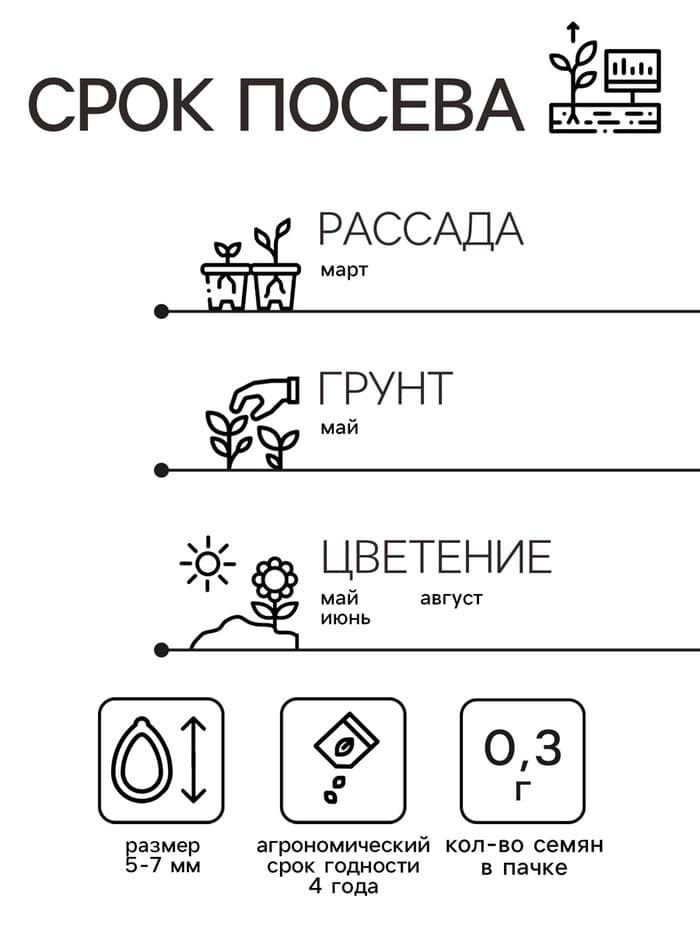 Семена цветов Люпин многолистный «Канделябр», 0.3 г, многолетник, «Семена Алтая»