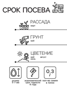 Семена цветов Люпин многолистный «Канделябр», 0.3 г, многолетник, «Семена Алтая»