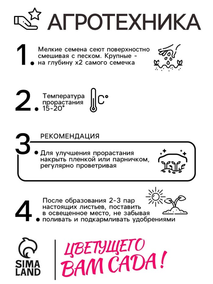 Семена цветов Люпин многолистный «Канделябр», 0.3 г, многолетник, «Семена Алтая»