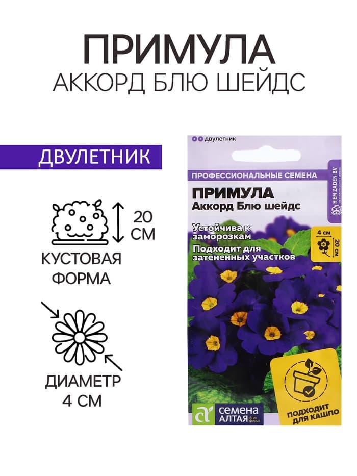 Семена Примула «Аккорд Блю шейдс», 5 шт., «Семена Алтая»
