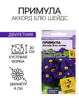 Семена Примула «Аккорд Блю шейдс», 5 шт., «Семена Алтая»