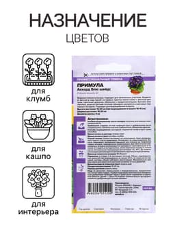 Семена Примула «Аккорд Блю шейдс», 5 шт., «Семена Алтая»