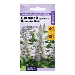 Семена Шалфей "Виктория Вайт", ц/п,  10 шт.