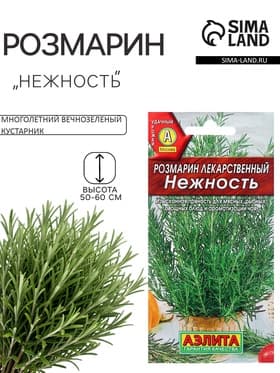 Семена Розмарин «Нежность», 20 шт., «АЭЛИТА»