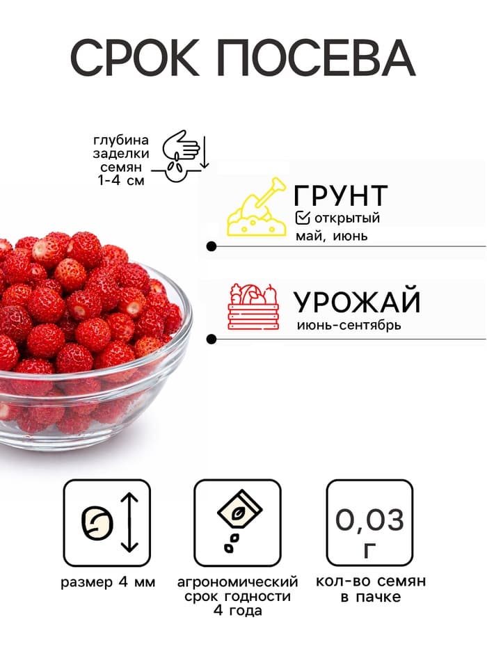 Семена Земляника «Вайс Солемахер», белая, 0.03 г, «Аэлита»