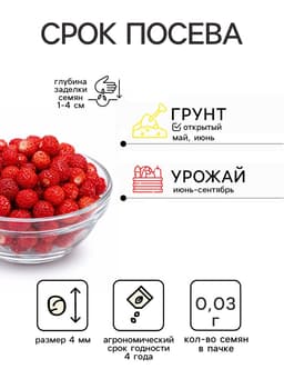 Семена Земляника «Вайс Солемахер», белая, 0.03 г, «Аэлита»