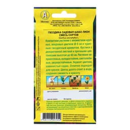 Семена цветов Гвоздика садовая махровая «Шабо Лион», смесь сортов, 0.05 г, однолетник, «Аэлита»