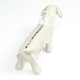 Дождевик для собак, размер XS, ДС 18, ОГ 25-30, ОШ 25 см, белый