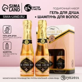 Подарочный набор ЧИСТОЕ СЧАСТЬЕ «Ты лучше всех!»: гель для душа и шампунь для волос шампанское, 2×250 мл