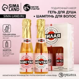 Подарочный набор «Мечтай!», гель для душа и шампунь для волос шампанское, 2×250 мл, Чистое счастье