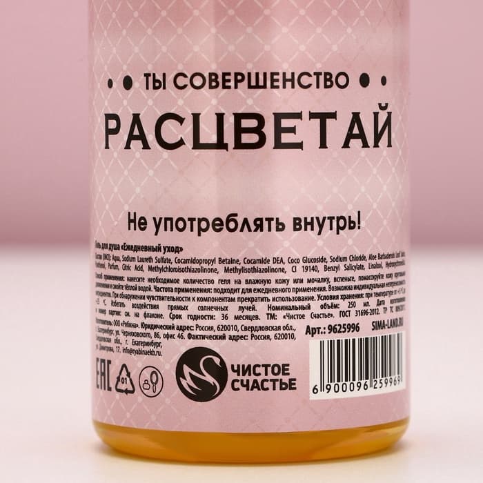 Подарочный набор «Мечтай!», гель для душа и шампунь для волос шампанское, 2×250 мл, Чистое счастье