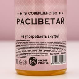 Подарочный набор «Мечтай!», гель для душа и шампунь для волос шампанское, 2×250 мл, Чистое счастье