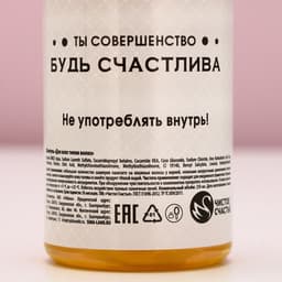 Подарочный набор «Мечтай!», гель для душа и шампунь для волос шампанское, 2×250 мл, Чистое счастье