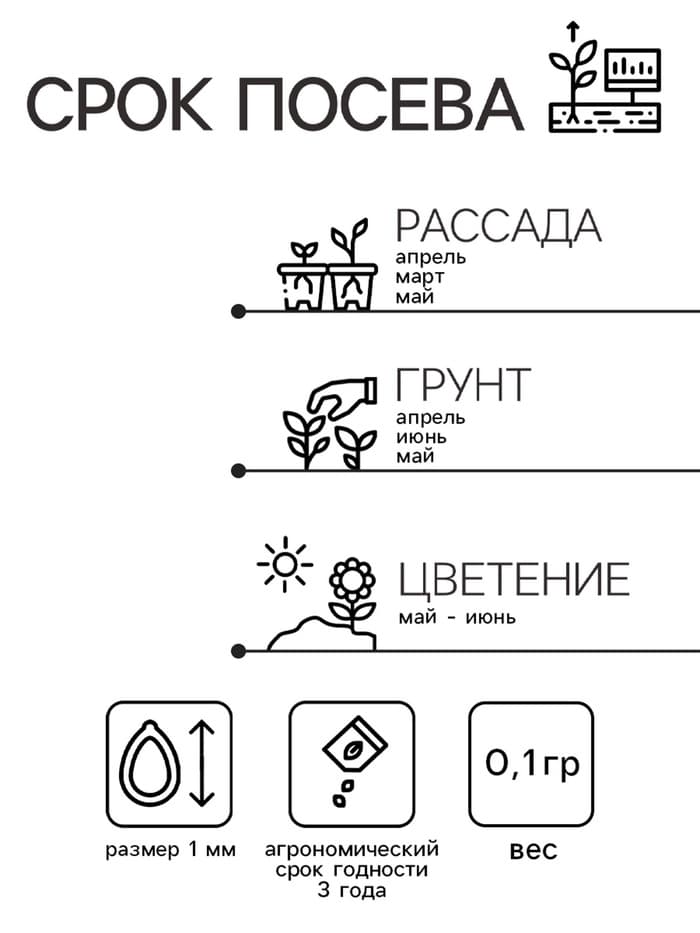 Семена гвоздика «Фиолетовая», 0.1 г