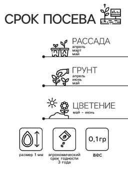 Семена гвоздика «Фиолетовая», 0.1 г