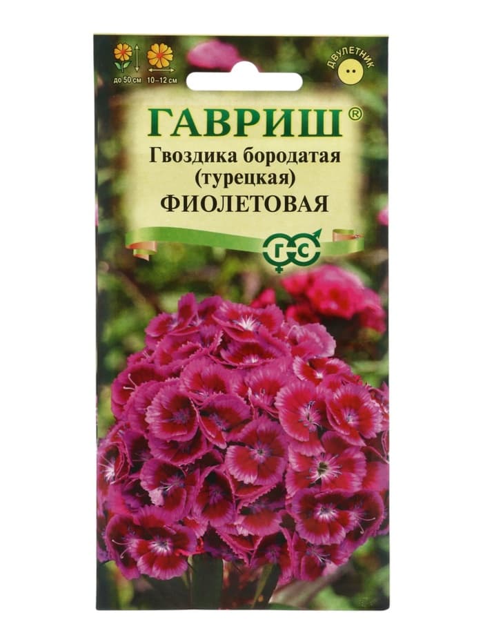 Семена гвоздика «Фиолетовая», 0.1 г