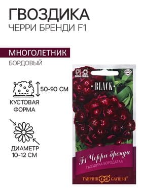Семена цветов Гвоздика бородатая «Черри бренди», F1, 4 шт., двулетник, «Гавриш»