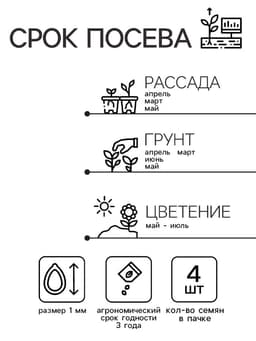 Семена цветов Гвоздика бородатая «Черри бренди», F1, 4 шт., двулетник, «Гавриш»