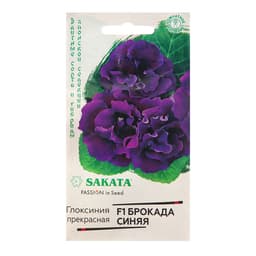 Семена цветов Глоксиния прекрасная «Брокада синяя», F1, 4 шт., «Гавриш»