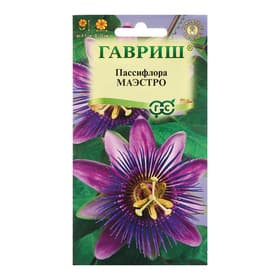 Семена Пассифлора "Маэстро", ц/п,  5 шт.