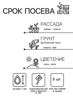 Семена Пассифлора "Маэстро", ц/п,  5 шт.