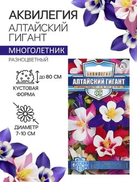 Семена аквилегия «Алтайский гигант», цветной пакет, 0.05 г