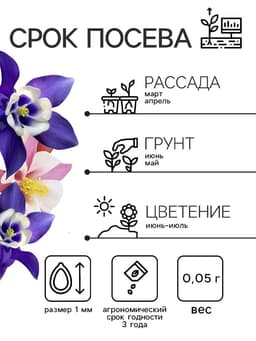 Семена аквилегия «Алтайский гигант», цветной пакет, 0.05 г