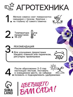 Семена аквилегия «Алтайский гигант», цветной пакет, 0.05 г