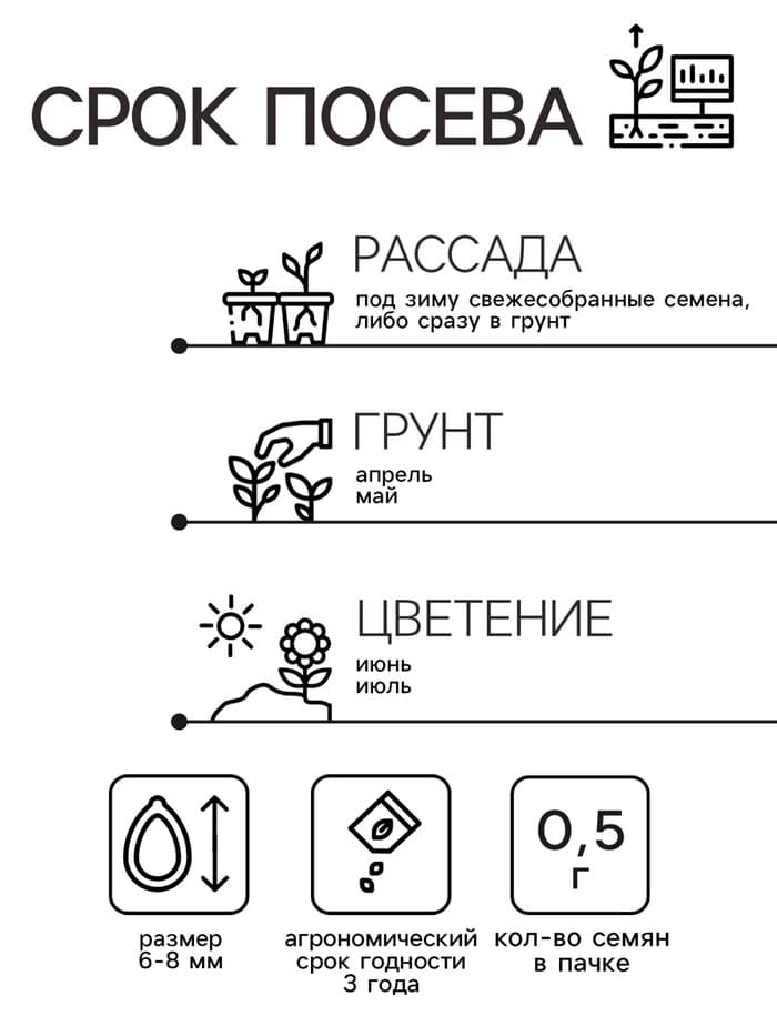 Семена цветов Люпин декоративный «Жёлтое пламя», 0.5 г, «Гавриш»