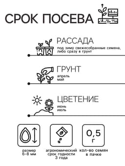 Семена цветов Люпин декоративный «Жёлтое пламя», 0.5 г, «Гавриш»