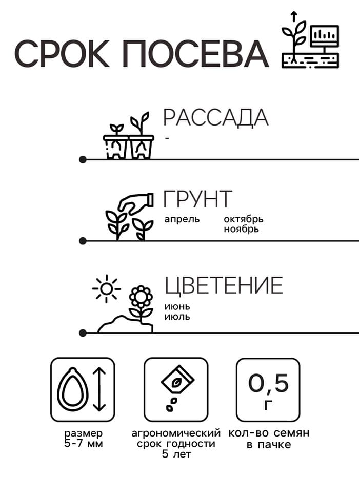 Семена Люпин «Минарет», 0.5 г, «Гавриш»