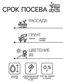 Семена Люпин «Минарет», 0.5 г, «Гавриш»