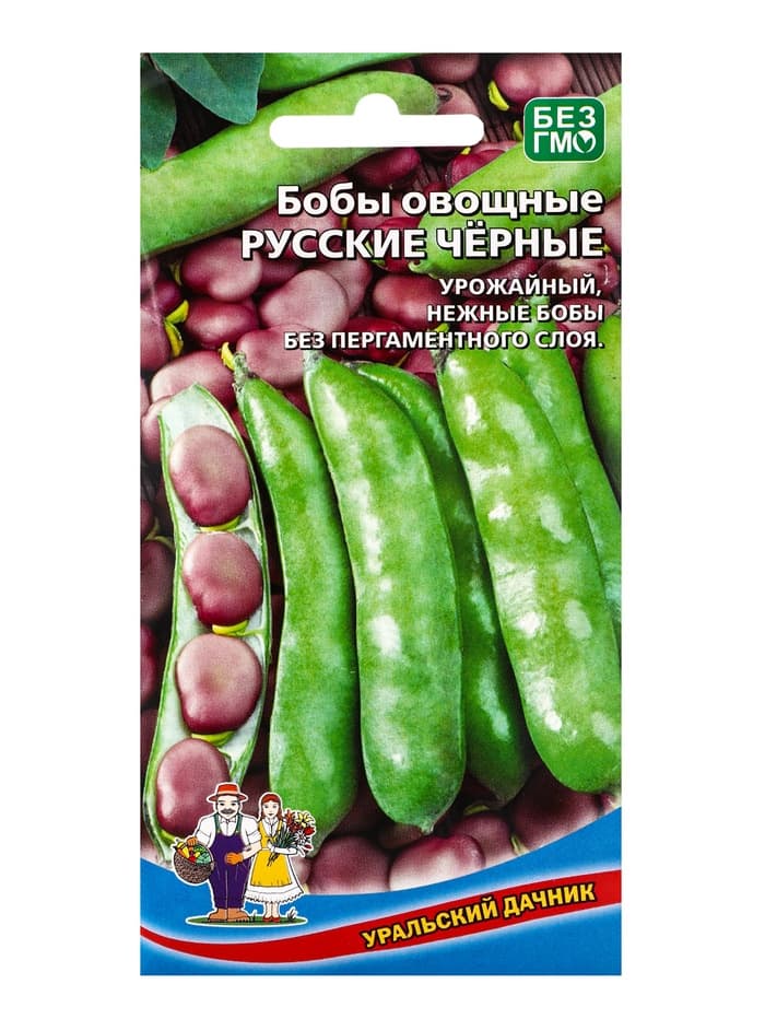 Семена Бобы «Русские черные», 6 шт., «Уральский дачник»