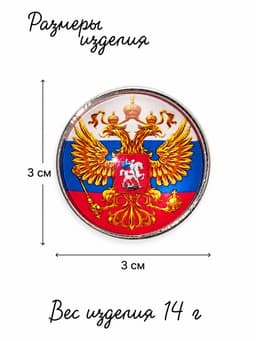 Брошь «Российская Федерация», разноцветная в серебре