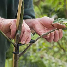 Веткодержатель, h=13 см, подпорка для деревьев, голубой, Greengo