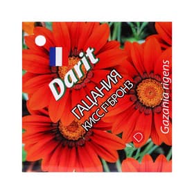 Семена цветов Гацания «Кисс F1 Бронз», для балкона, веранды, цветника, однолетник, низкорослая7 шт.