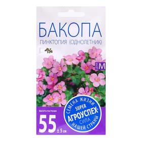 Семена цветов Бакопа «Пинктопия», 5 шт.