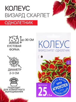 Семена Цветов Колеус «Визард Скарлет», 10 шт., «Агроуспех»