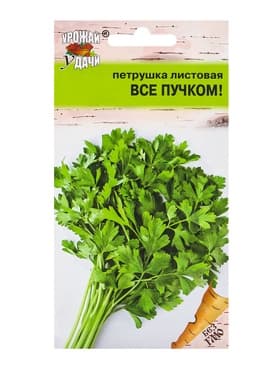 Семена Петрушка листовая «ВСЁ ПУЧКОМ», «Урожай Удачи»