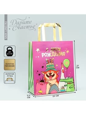 Пакет подарочный, упаковка, «С Днём рождения!», ML 23×27×11.5 см