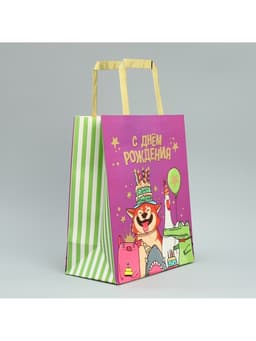 Пакет подарочный, упаковка, «С Днём рождения!», ML 23×27×11.5 см