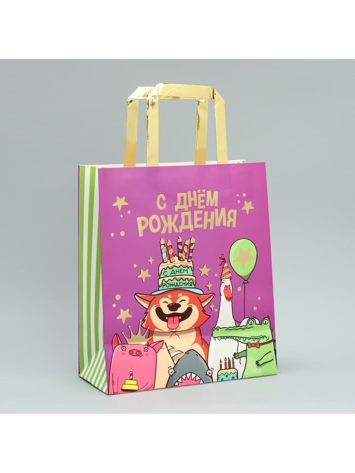 Пакет подарочный, упаковка, «С Днём рождения!», ML 23×27×11.5 см