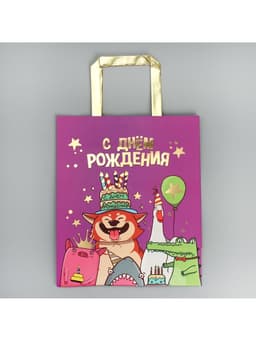 Пакет подарочный, упаковка, «С Днём рождения!», ML 23×27×11.5 см